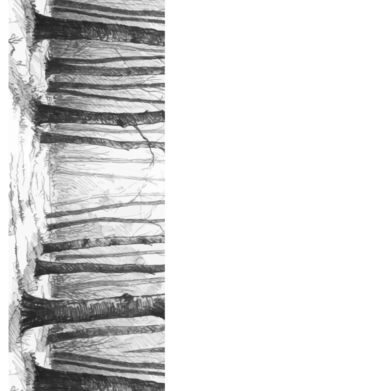 Stalo takelis · MIŠKAS - Image 5
